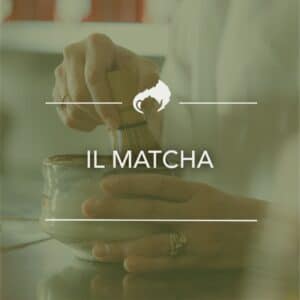 IL MATCHA 02-02-2025