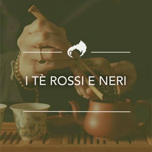 I tè rossi e neri 29-03-2025