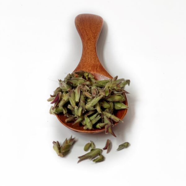 FOGLIE DI Tè